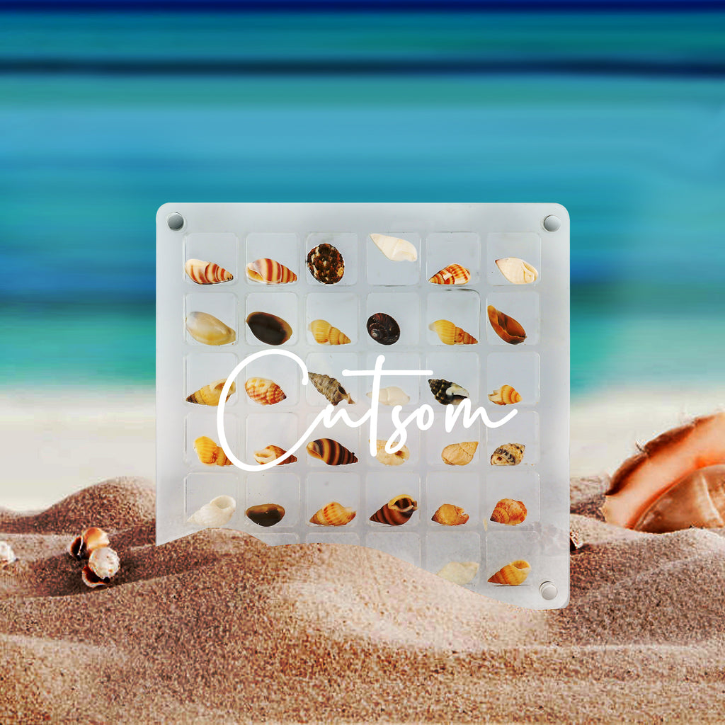 Acrylic Magnetic Seashell Display Box