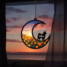 Load image into Gallery viewer, 捕光器