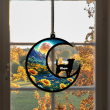 Load image into Gallery viewer, 捕光器