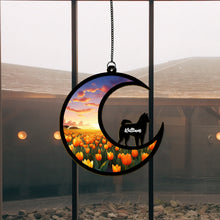 Load image into Gallery viewer, 捕光器