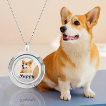 Load image into Gallery viewer, pet necklace