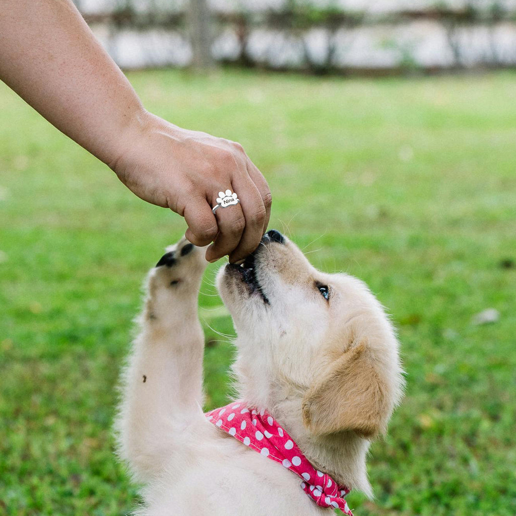 paw ring