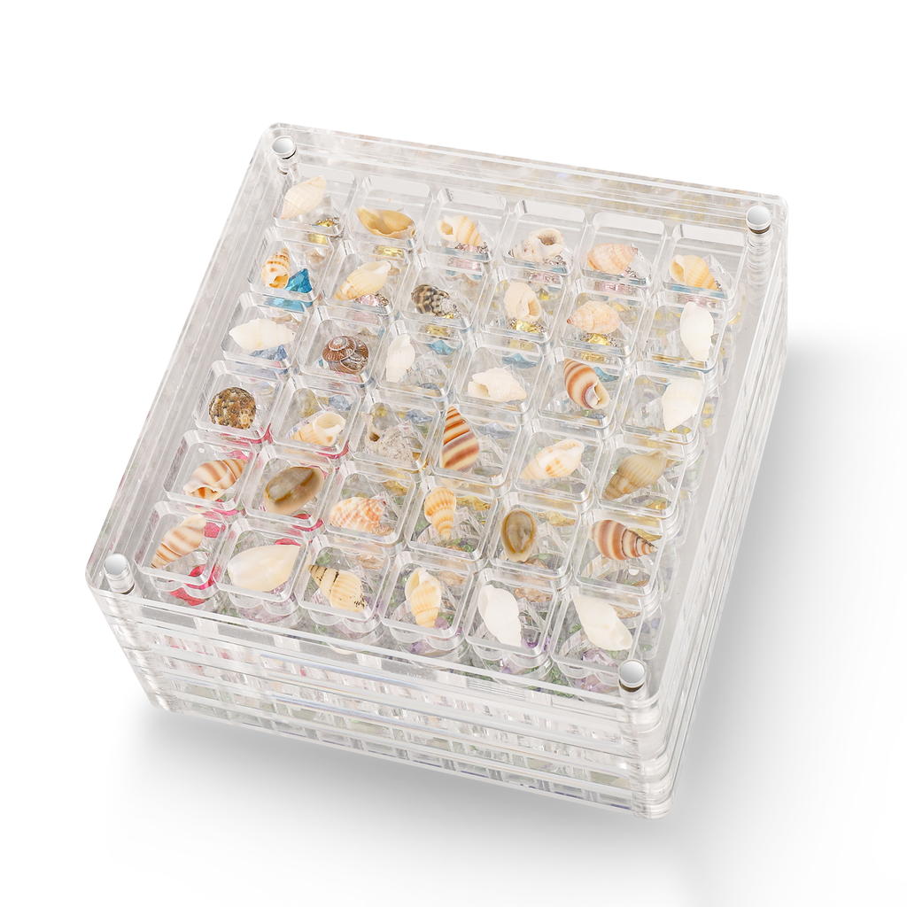 Acrylic Magnetic Seashell Display Box