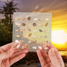 Load image into Gallery viewer, Acrylic Magnetic Seashell Display Box