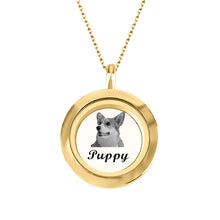 Load image into Gallery viewer, pet necklace