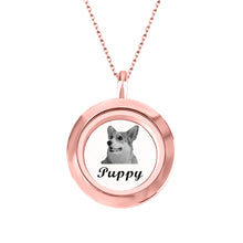 Load image into Gallery viewer, pet necklace