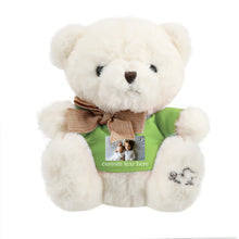 Load image into Gallery viewer, Custom Bow T-shirt Plush Teddy